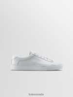 KOIO Capri Men 660XH08 Pebble Shoes