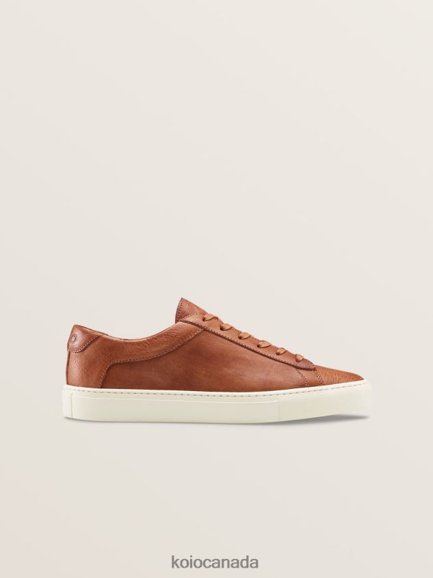 KOIO Capri Regenerative Men 660XH037 Castagna Shoes - Image 1